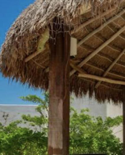 Hotel Niwa Tulum Esterno foto